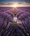 Aceite de lavanda